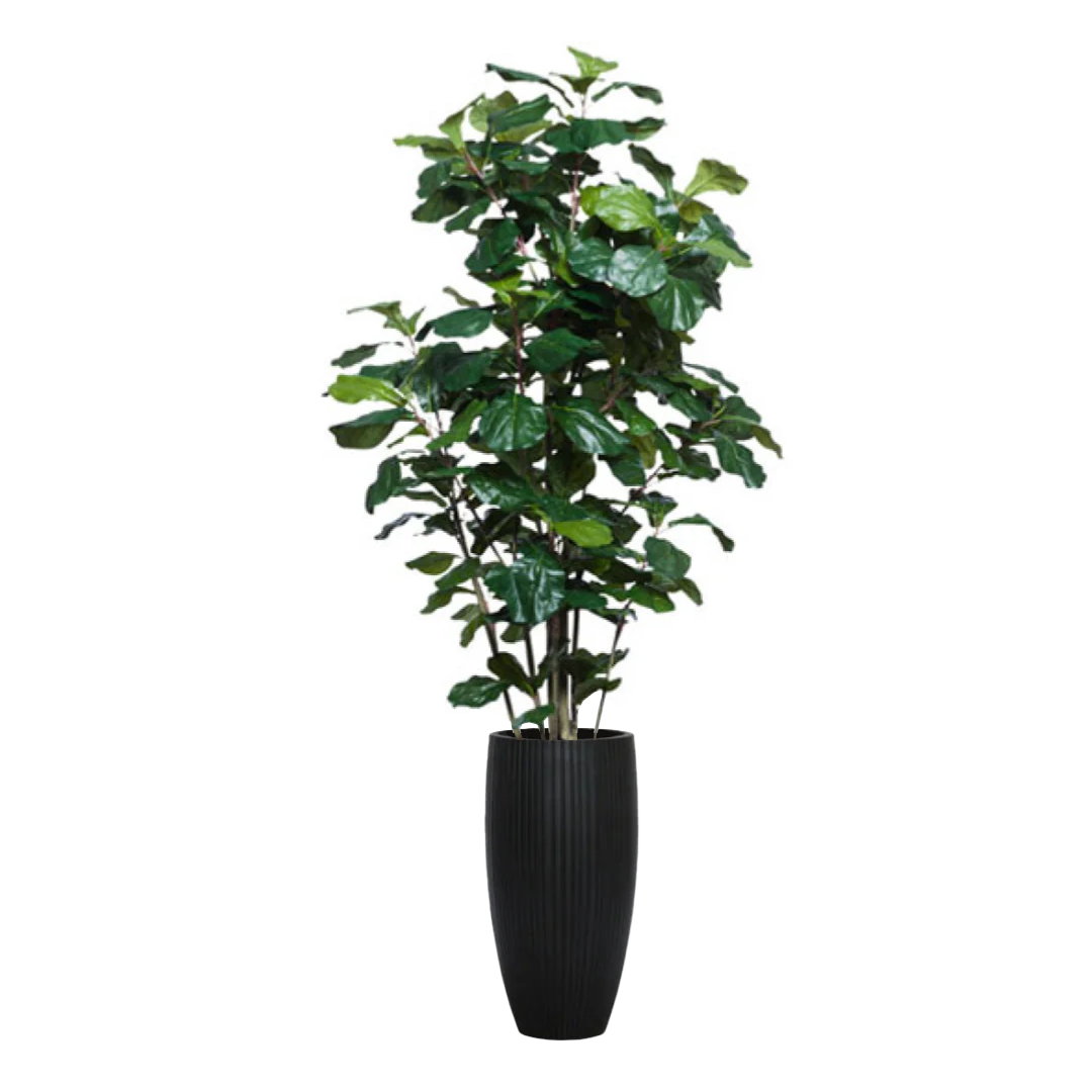 Artificial fiddle leaf fig tree in tall black ribbed planter against white background