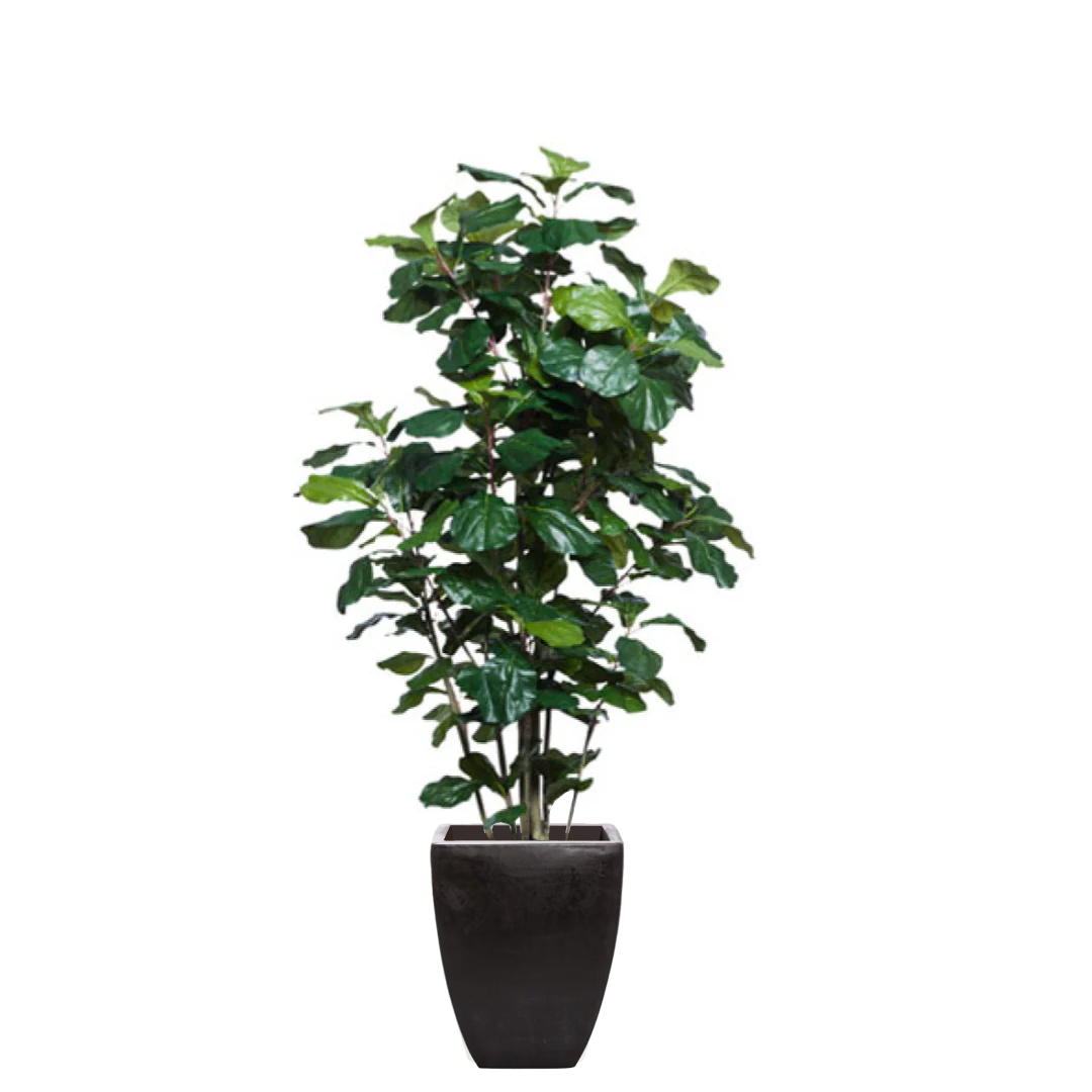 Artificial fiddle leaf fig tree in black planter, lifelike green foliage, modern decor plant