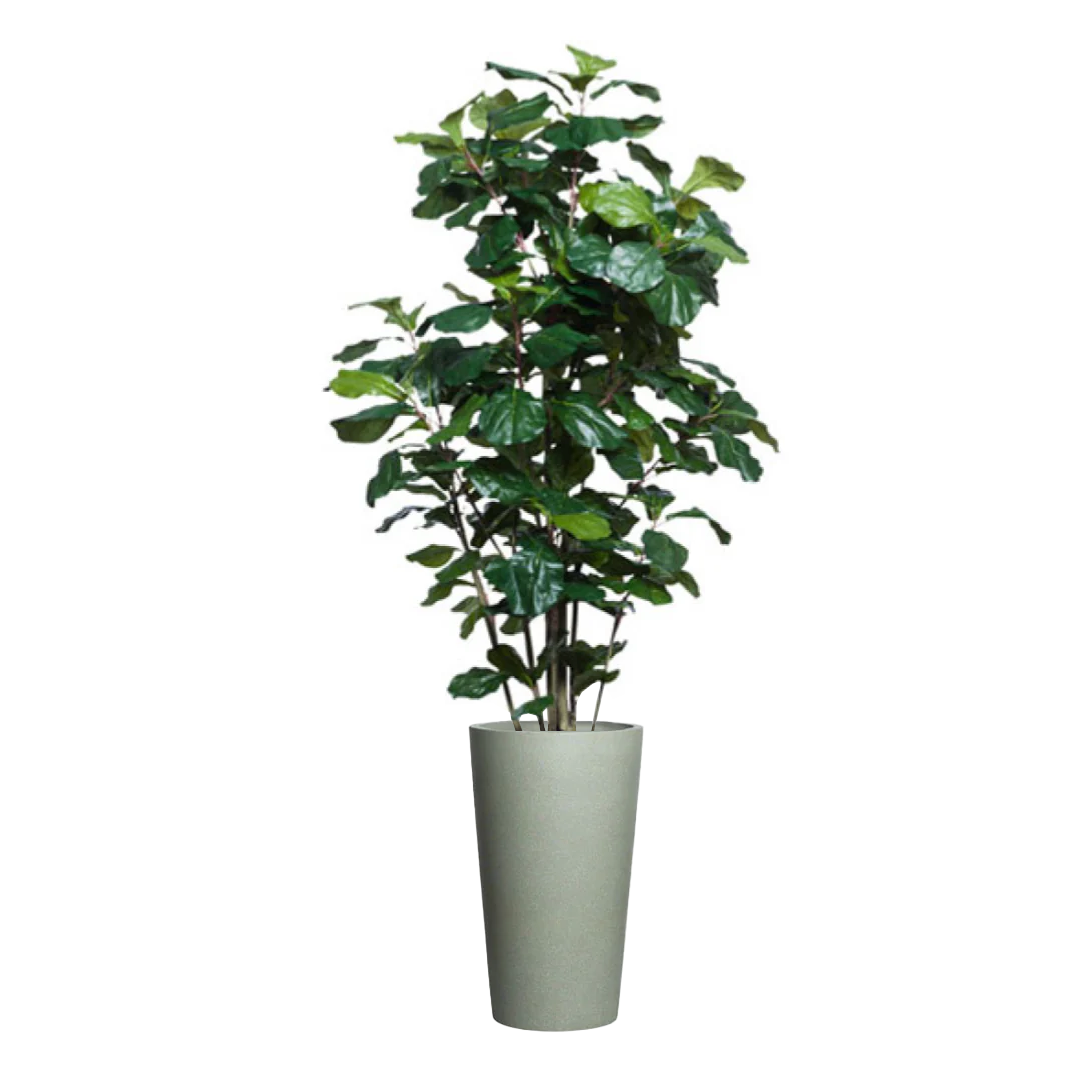 Fiddle leaf fig artificial tree in tall grey planter on white background