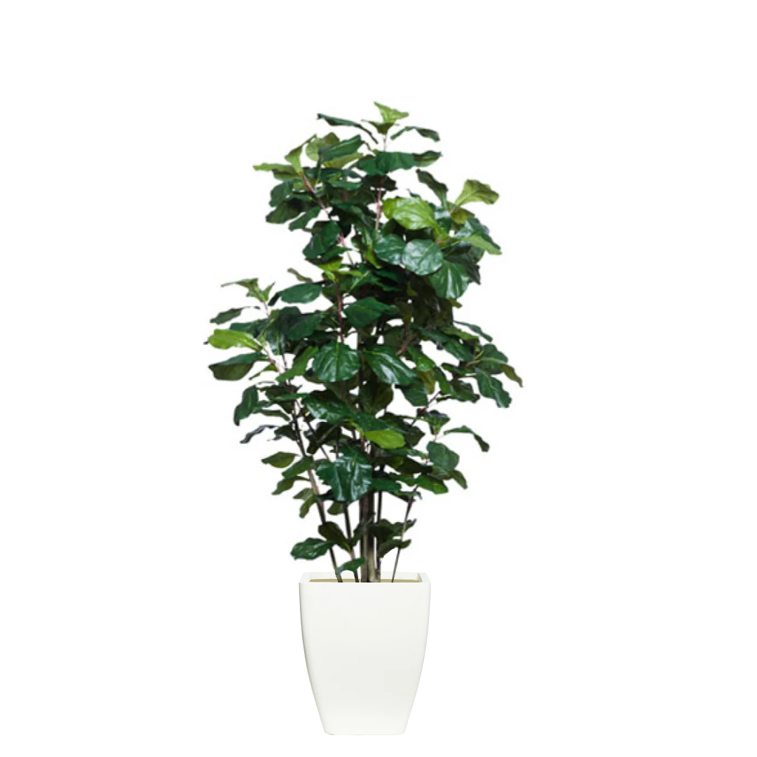 Artificial fiddle leaf fig tree in a modern white planter, realistic green leaves