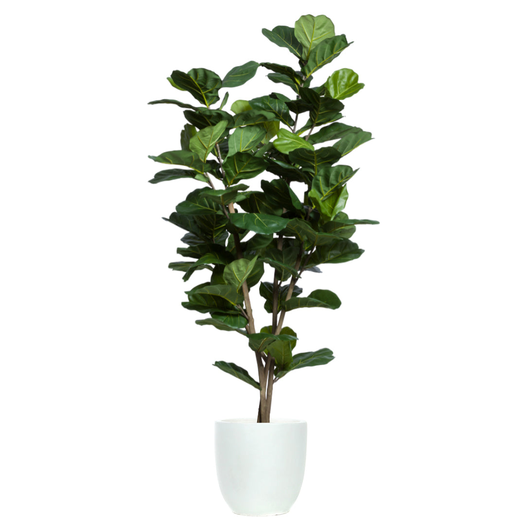 Artificial fiddle leaf fig tree in white ceramic pot with lush green leaves