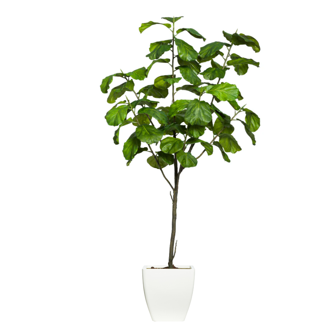 Artificial fiddle leaf fig tree with lush green leaves in a modern white planter
