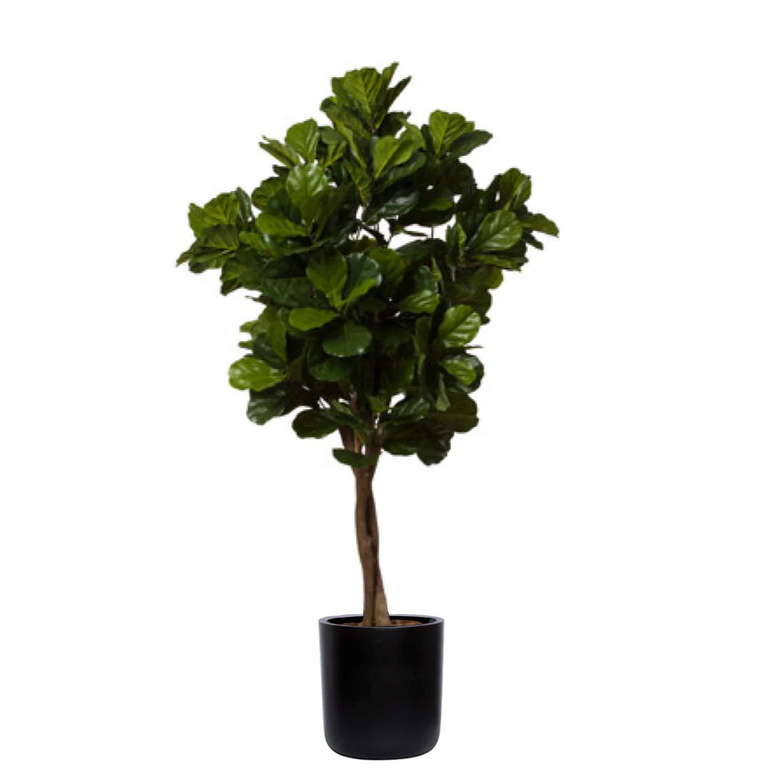 Artificial fiddle leaf fig tree in a black cylinder pot, realistic green foliage