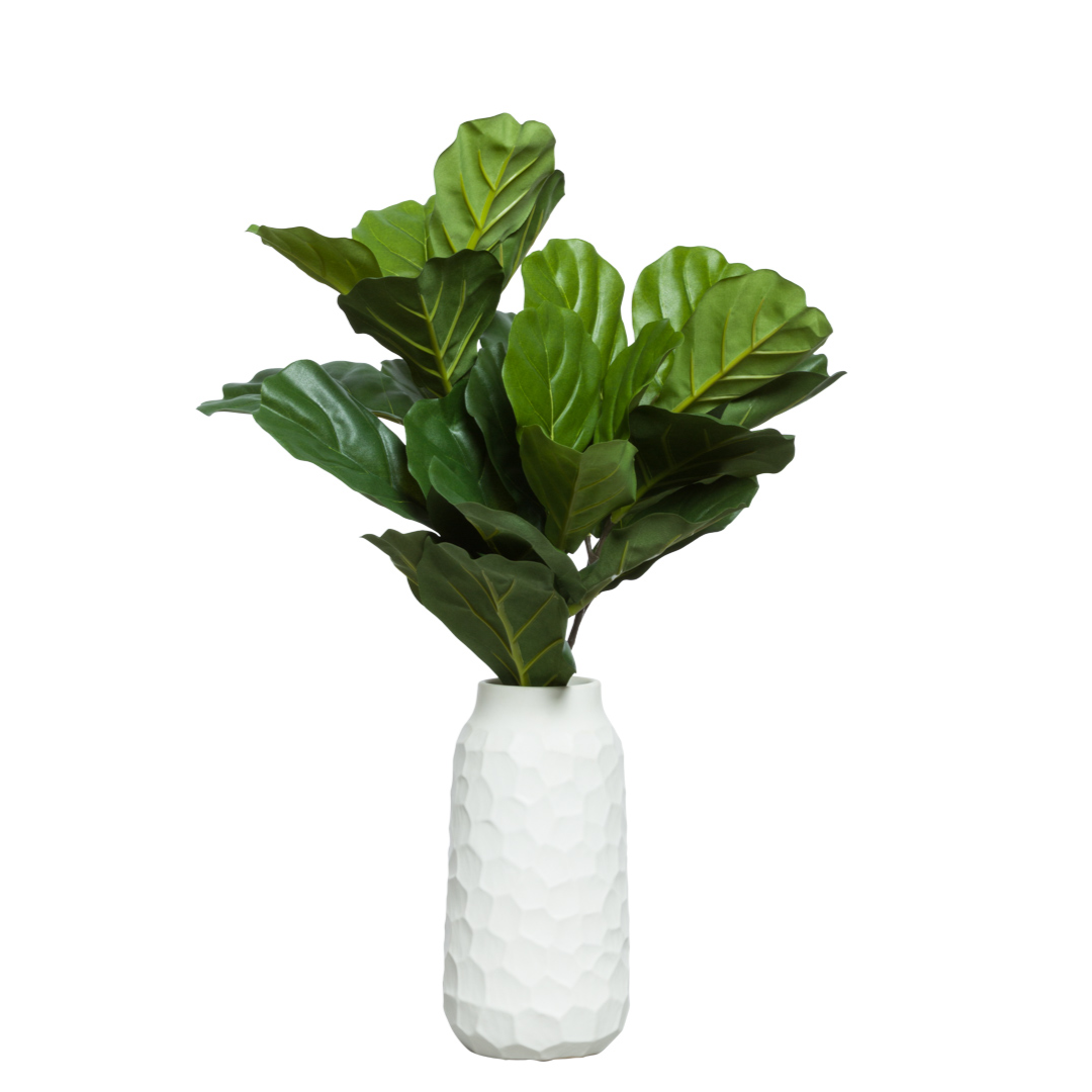 Fiddle leaf fig artificial plant in a textured white ceramic vase on white background
