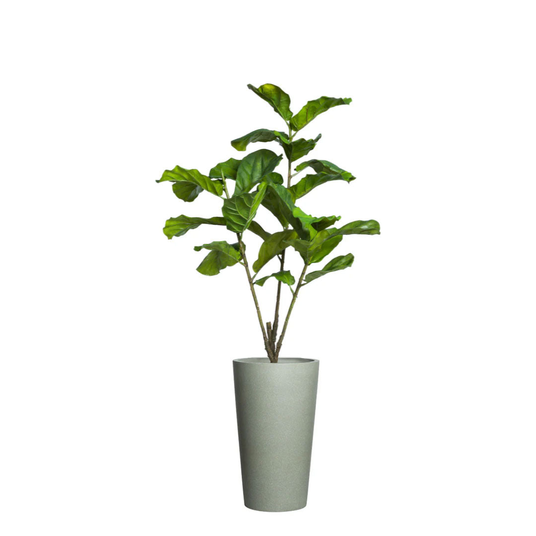 Artificial fiddle leaf fig tree in a tall greystone planter on white background
