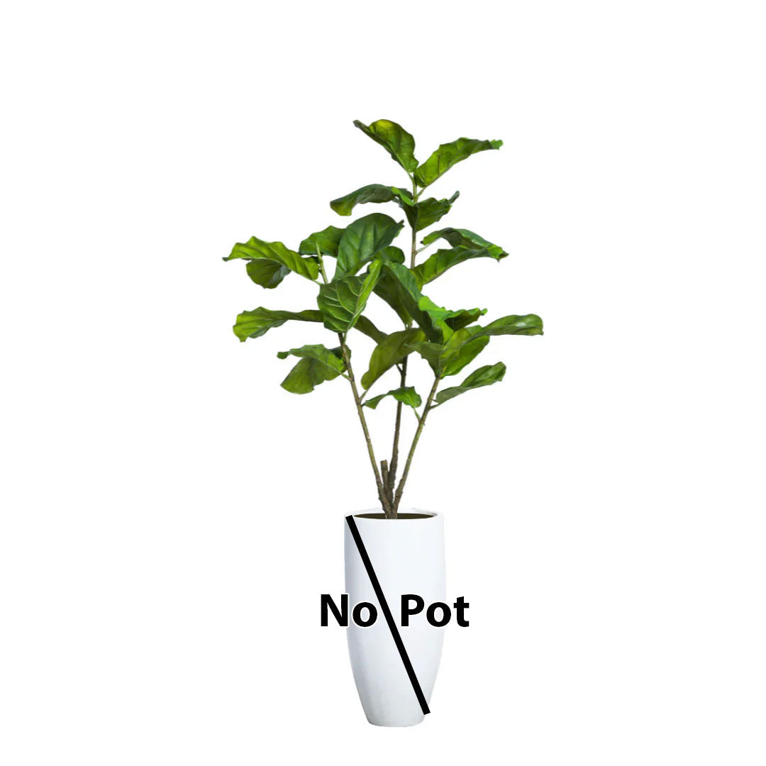 Artificial fiddle leaf fig tree with large green leaves, no pot included, on white background.