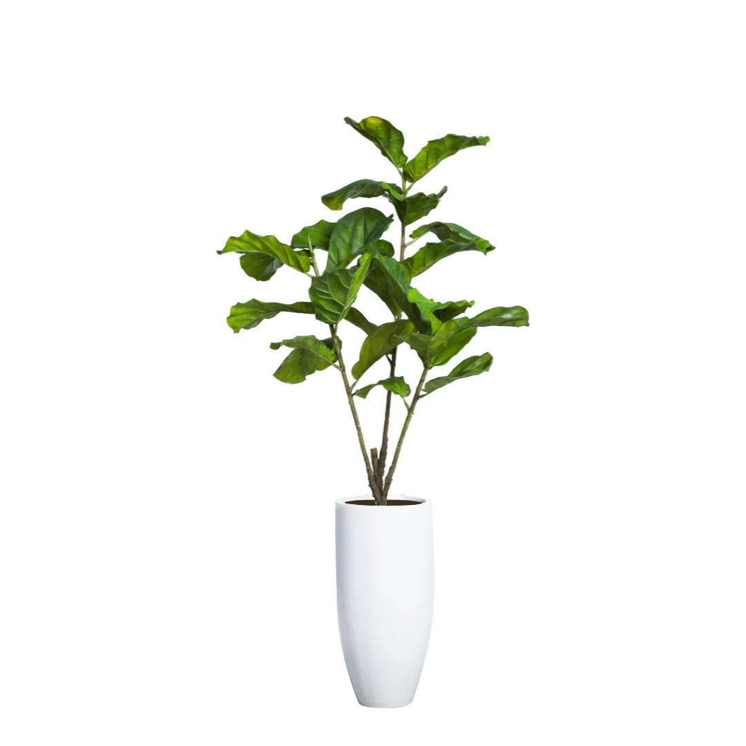 Artificial fiddle leaf fig tree in a tall white planter, realistic greenery decor