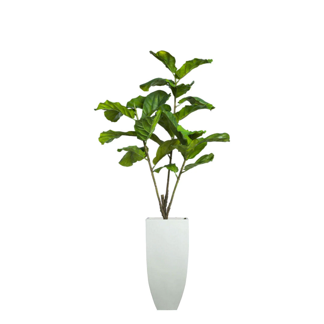Artificial fiddle leaf fig tree with broad green leaves in a tall white planter