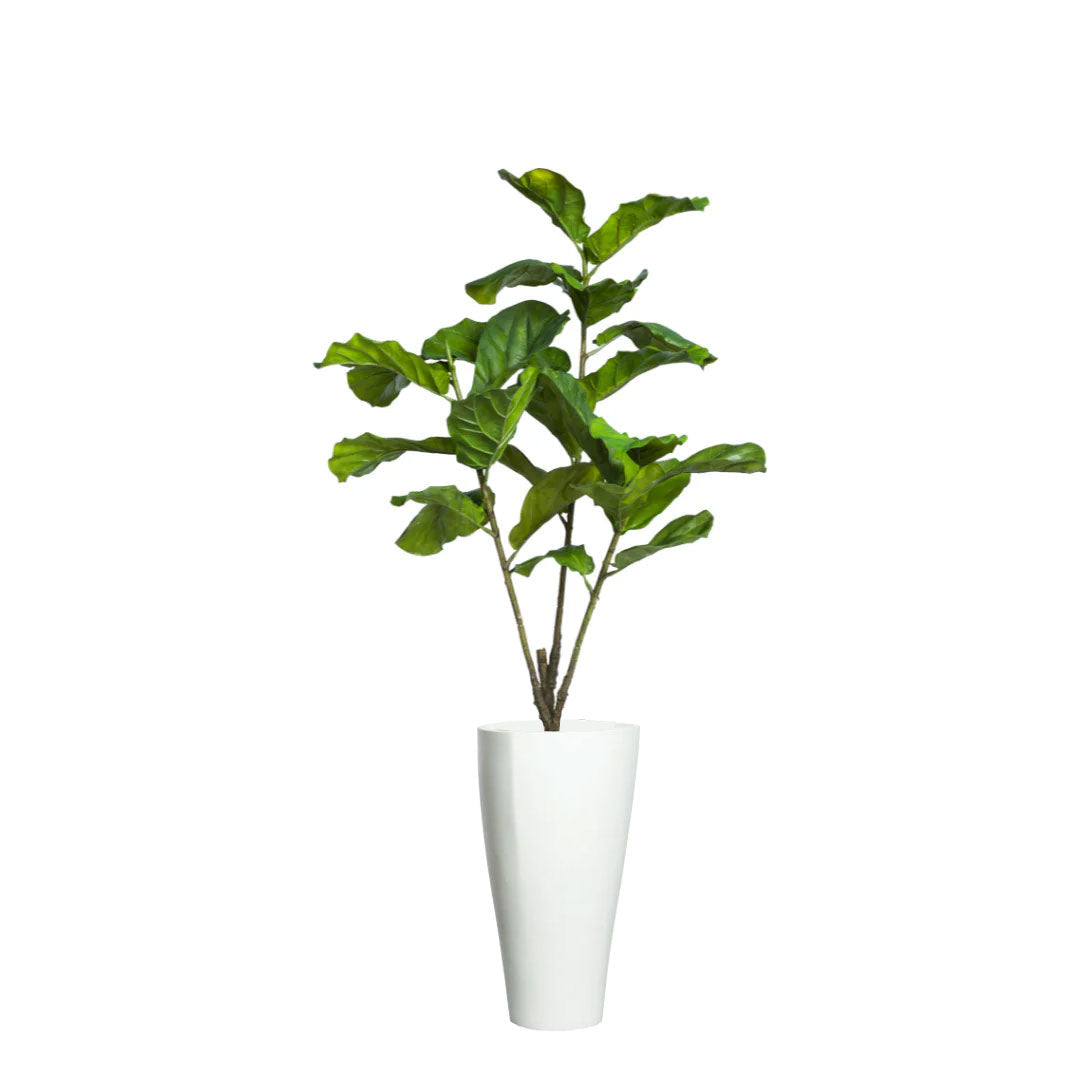 Artificial fiddle leaf fig tree in tall white planter against a white background