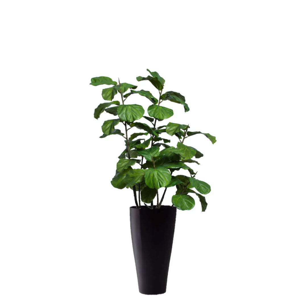 Artificial fiddle leaf fig plant in tall black planter on white background