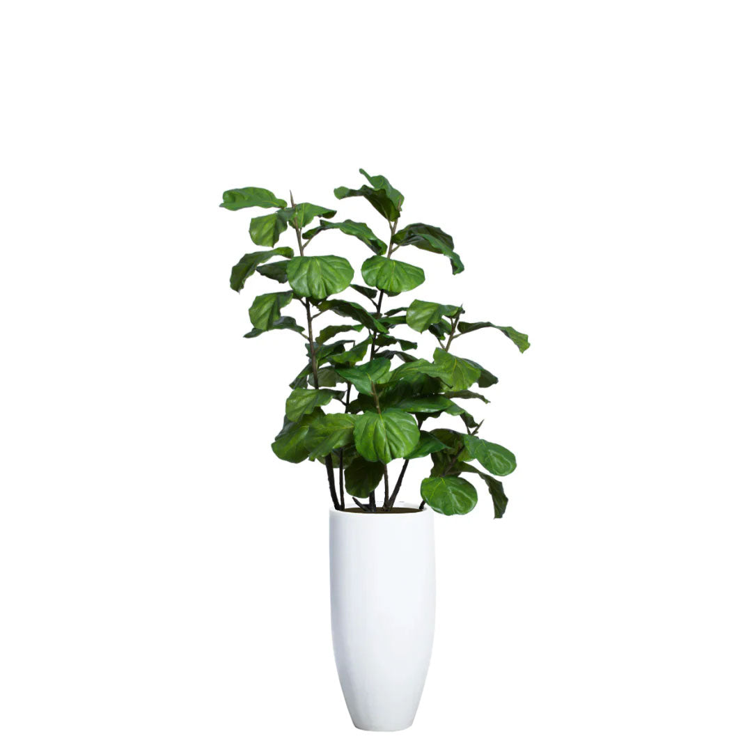 Artificial fiddle leaf fig tree in tall white planter, realistic green leaves