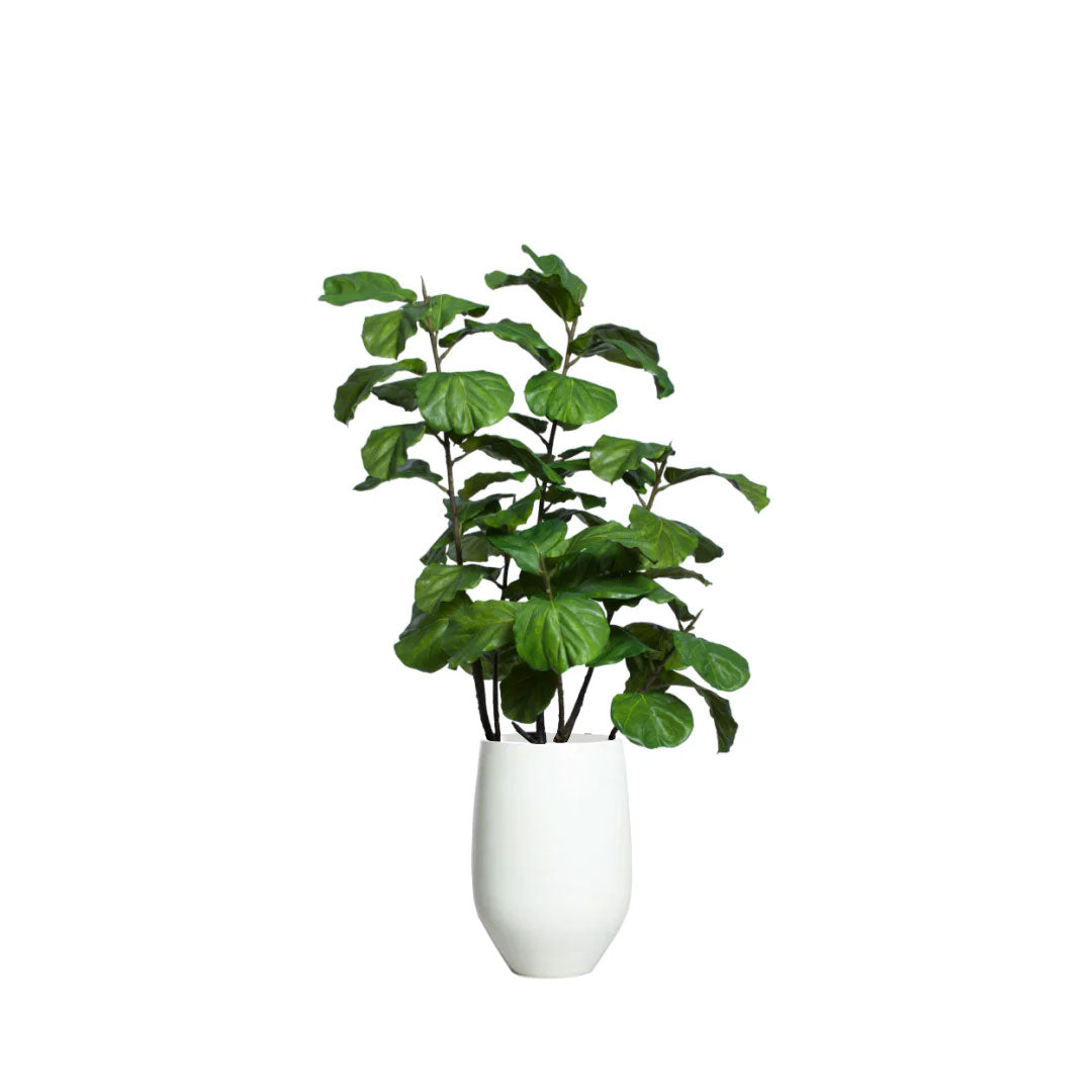Artificial fiddle leaf fig plant in a white tapered planter on white background
