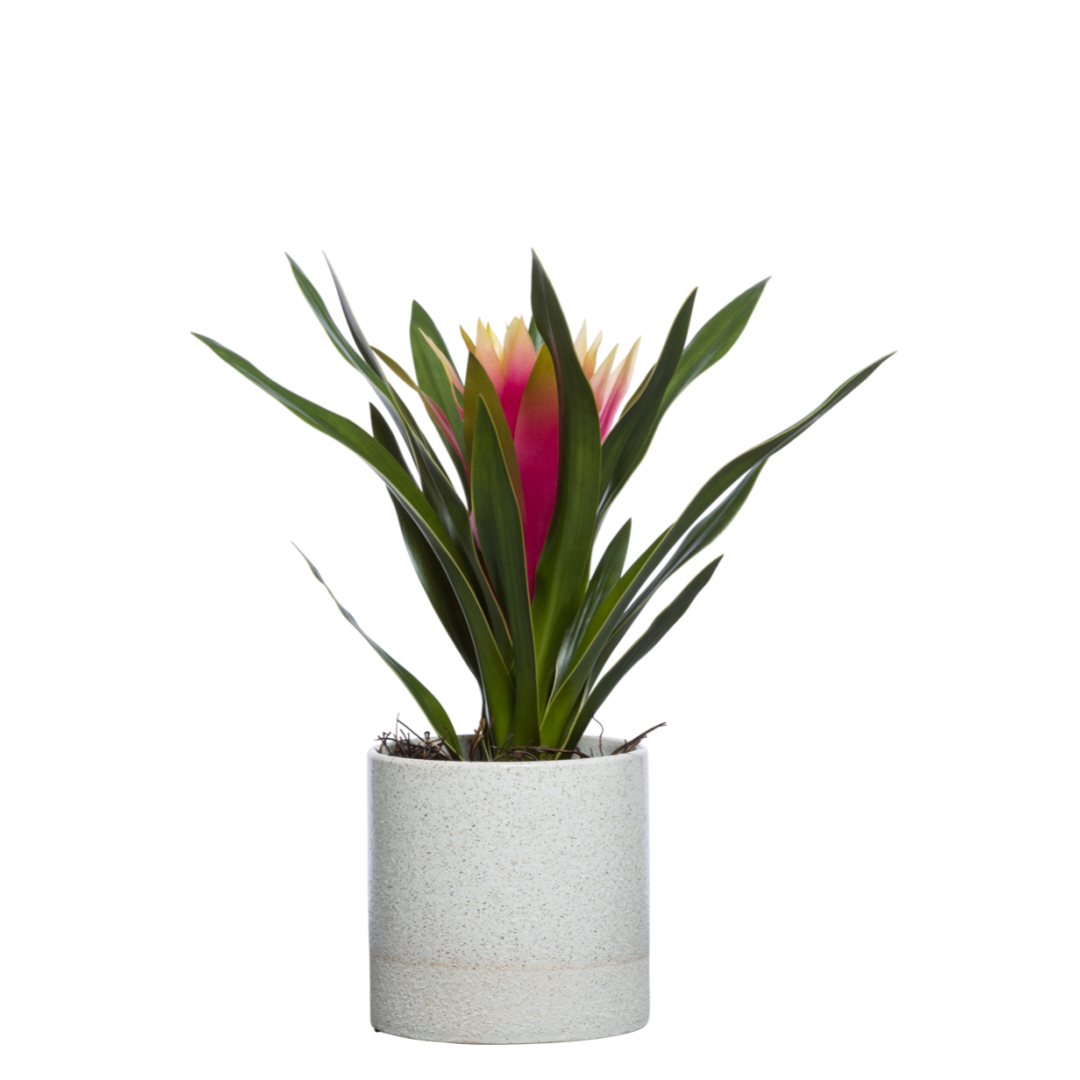 Artificial bromeliad plant with pink flower in modern white ceramic pot, realistic decor