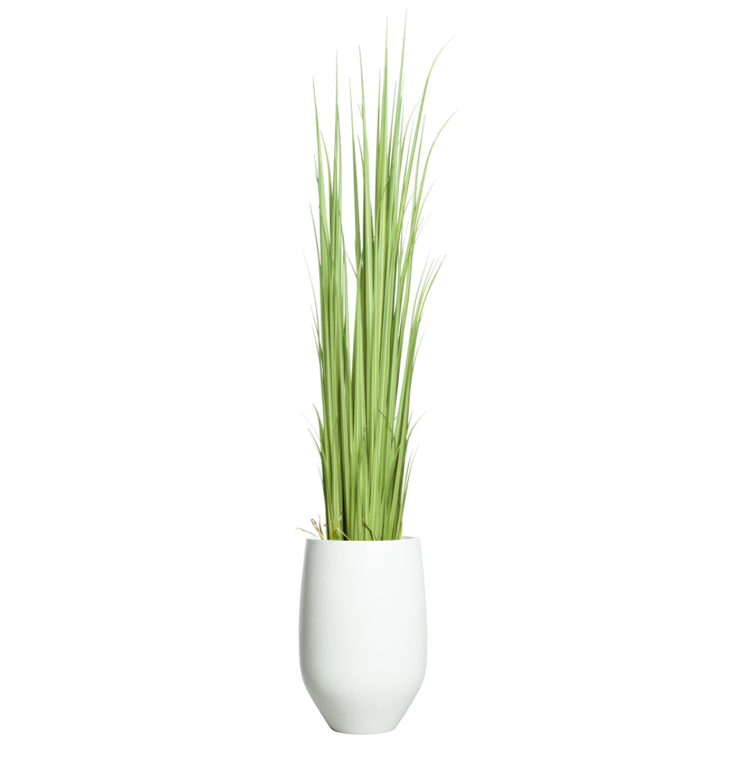 Artificial gladiolus grass in a modern white ceramic pot, isolated on white background