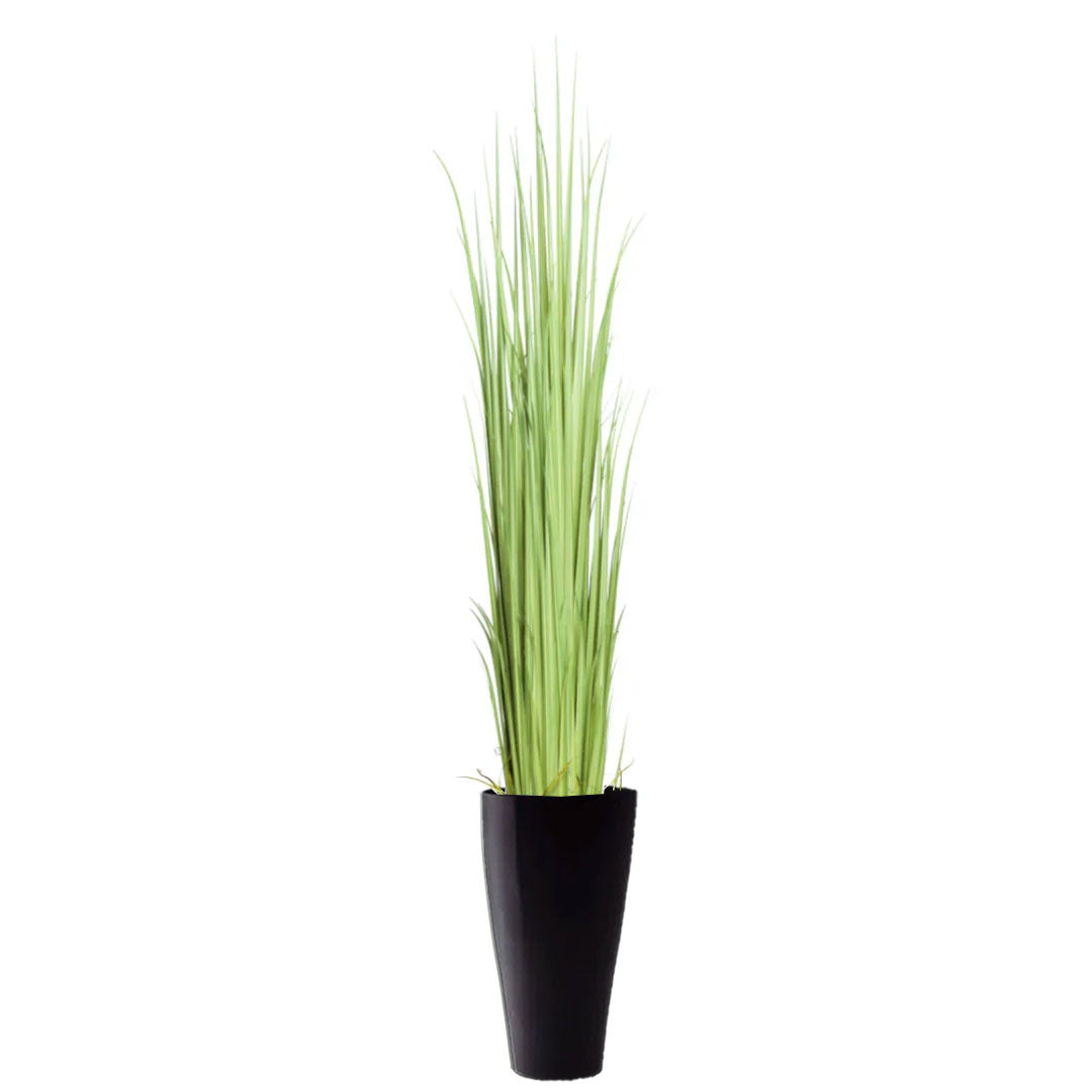 Artificial gladiolus grass in tall black planter on white background