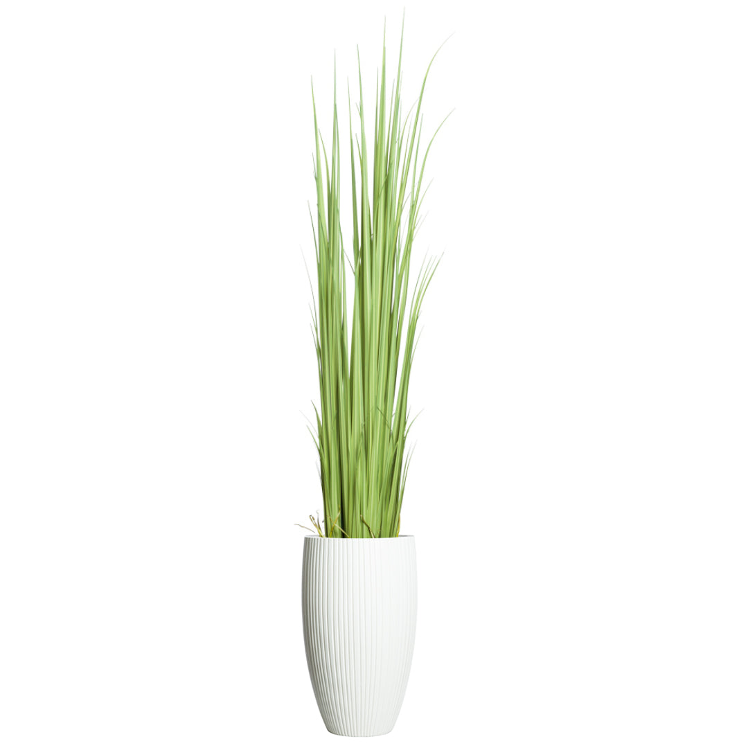 Tall artificial gladiolus grass in a white ribbed planter on a white background