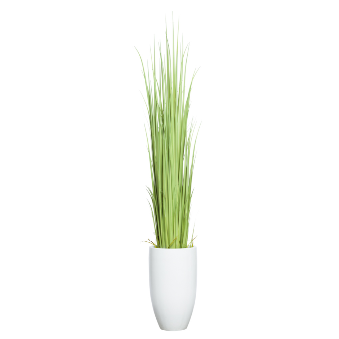 Tall artificial gladiolus grass in a sleek white planter on white background