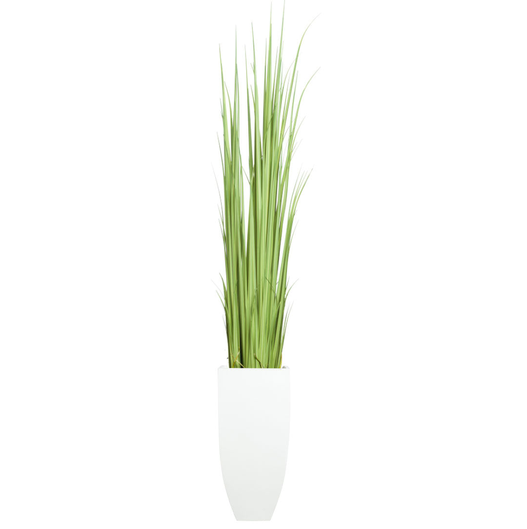 Artificial gladiolus grass in tall white planter on white background
