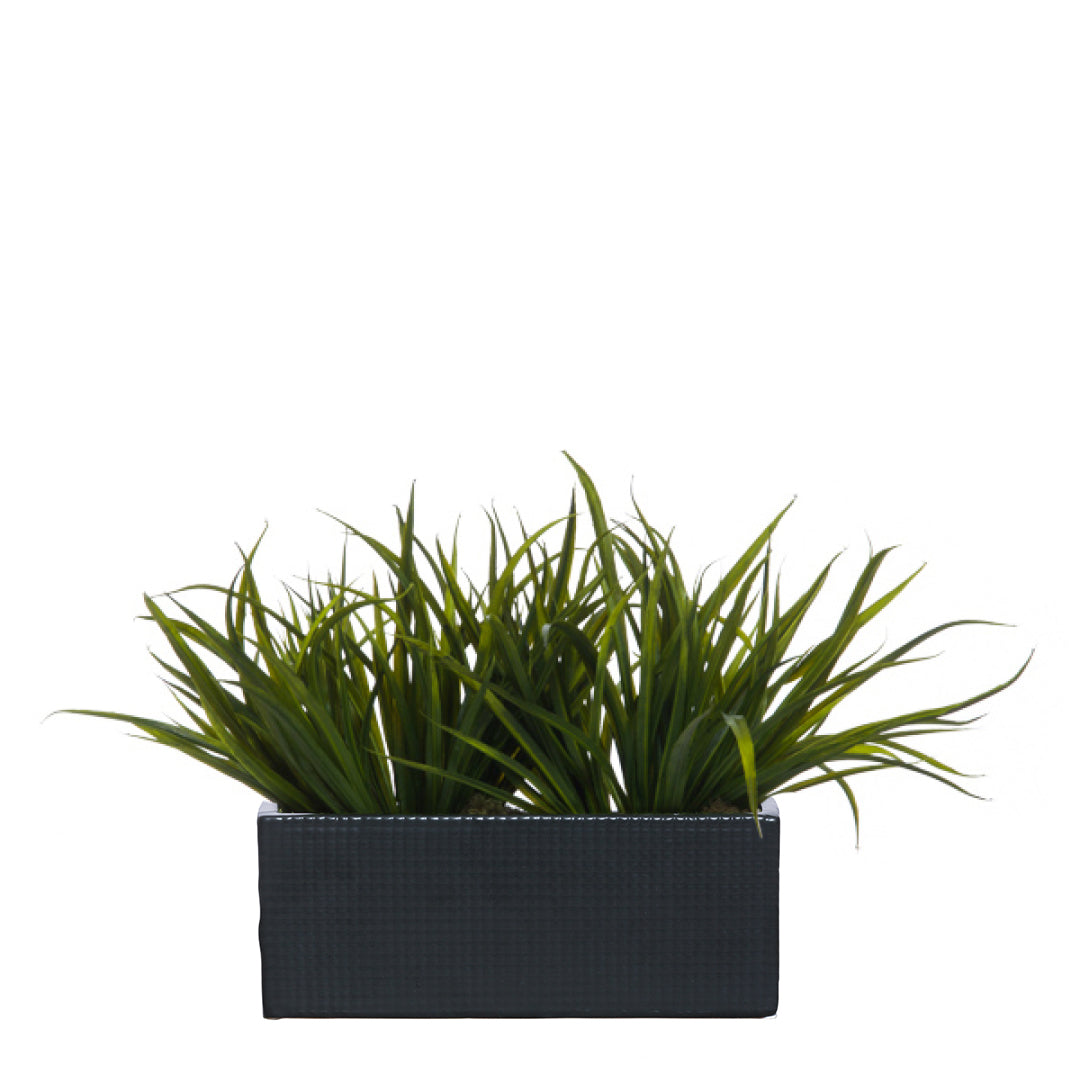 Artificial grass plant in a modern rectangular black planter on a white background