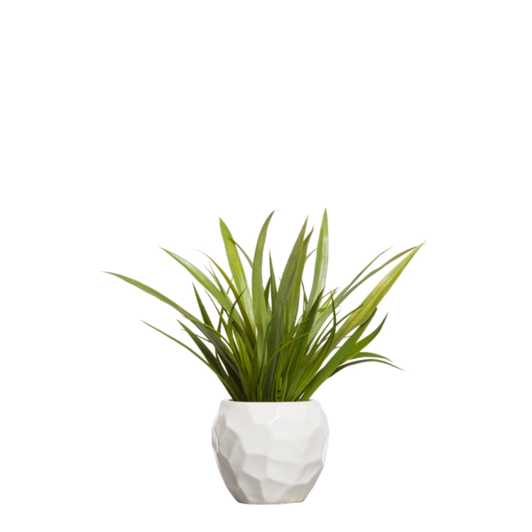 Artificial grass plant in a modern white geometric ceramic pot, isolated on white background.