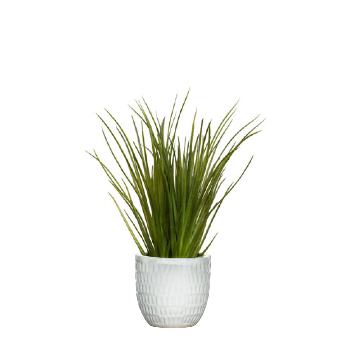 Artificial grass plant in textured white ceramic pot on white background