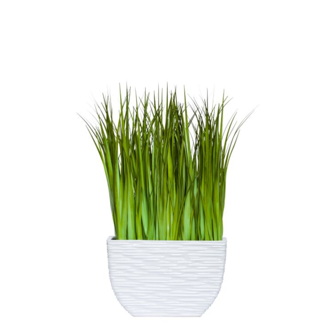 Artificial grass plant in a textured white ceramic pot on white background