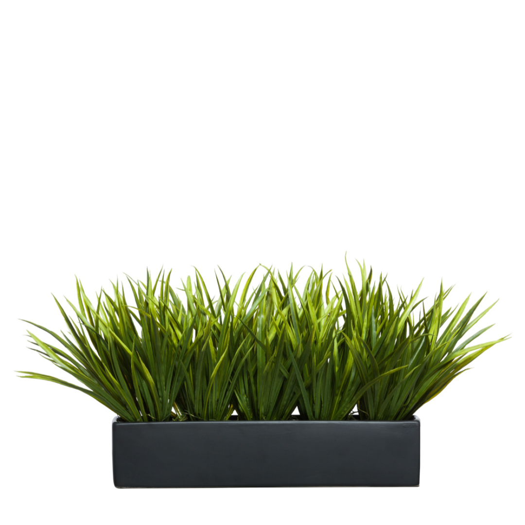 Artificial grass arrangement in rectangular black planter on white background