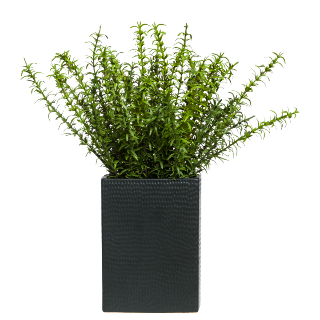 Artificial green grass bush in textured black rectangular planter
