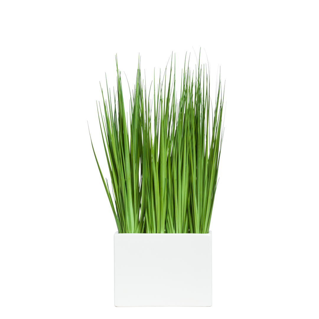 Artificial grass onion plant in modern white rectangular planter