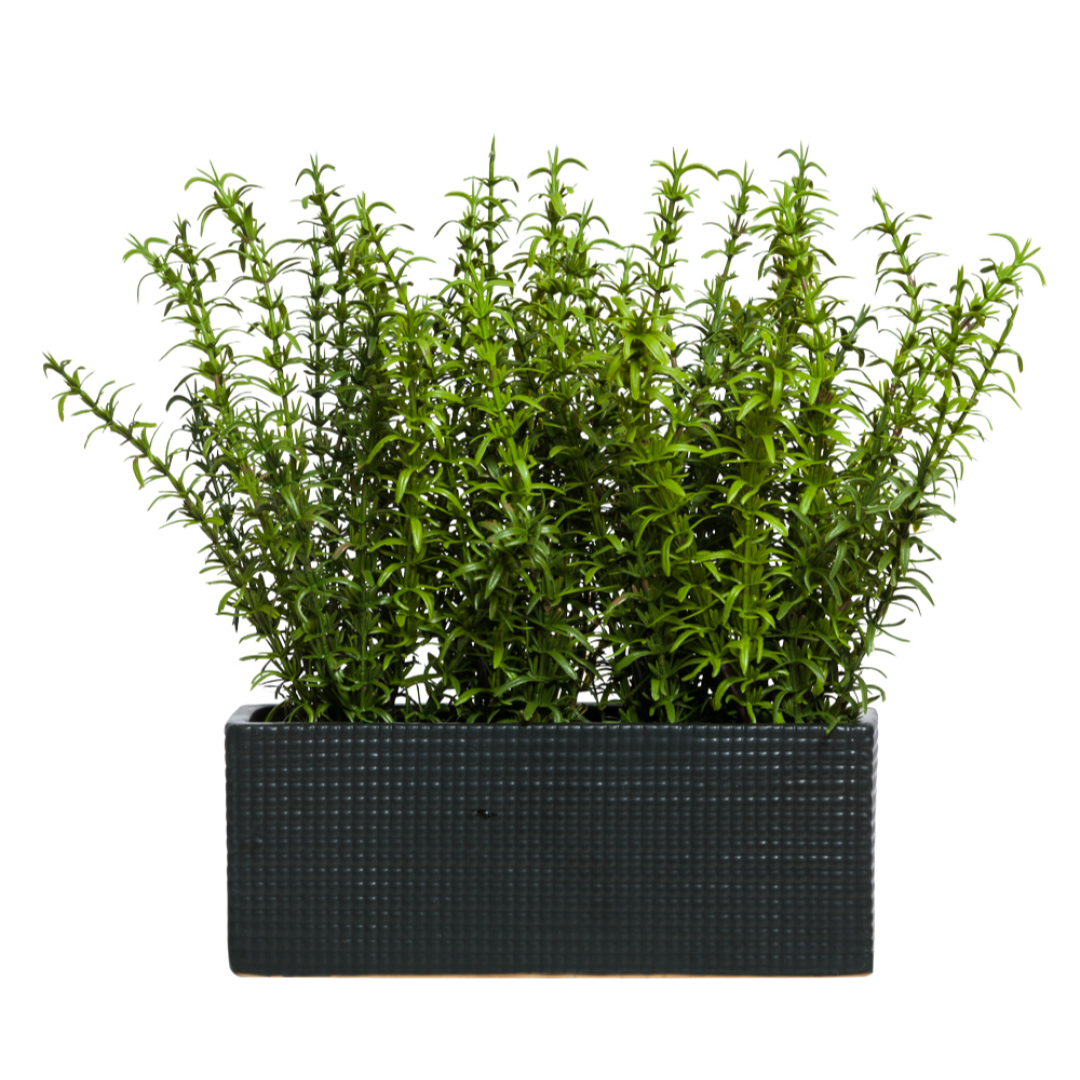 Artificial rosemary grass in rectangular black planter, realistic greenery decor