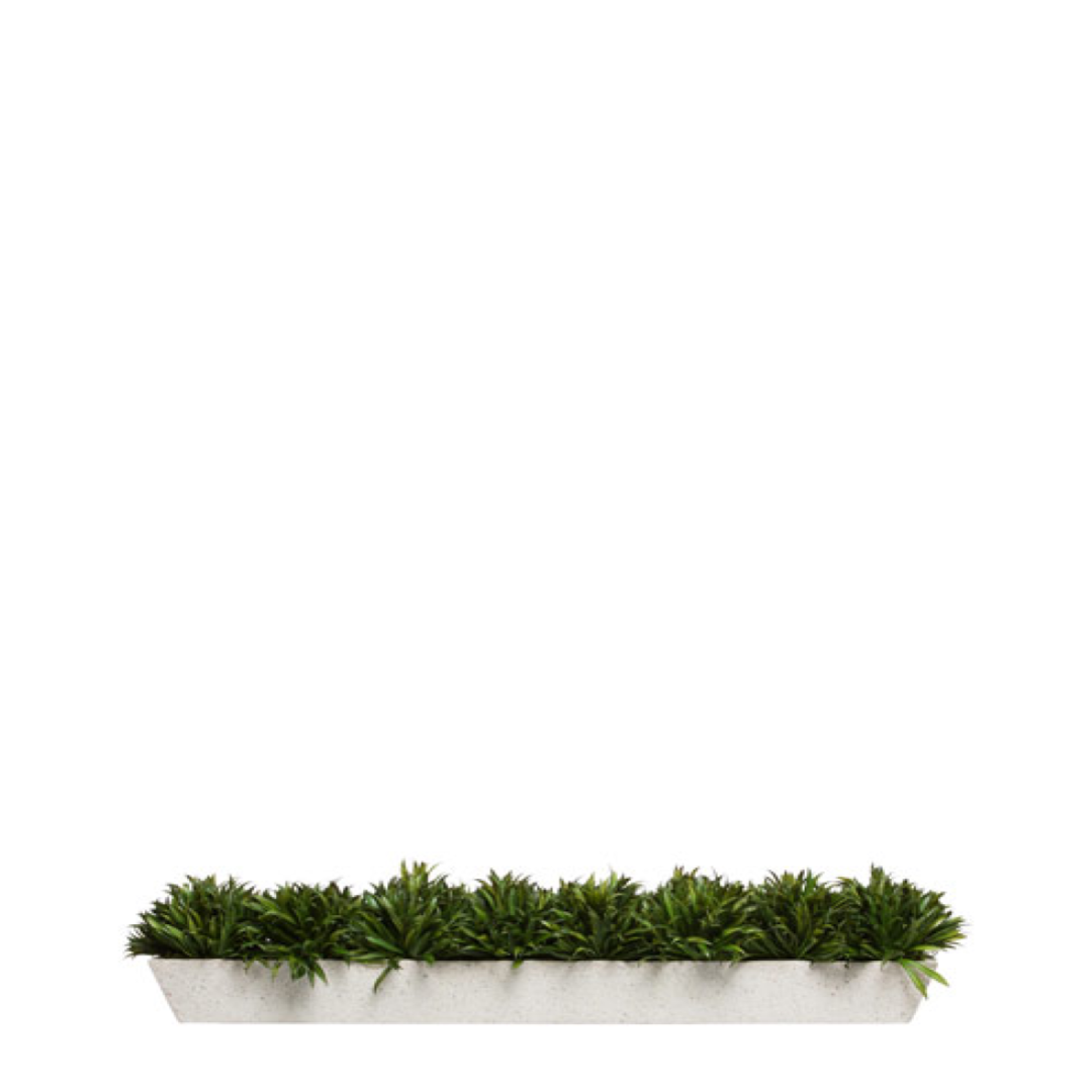 Artificial grass rye arrangement in rectangular white planter, modern decorative greenery