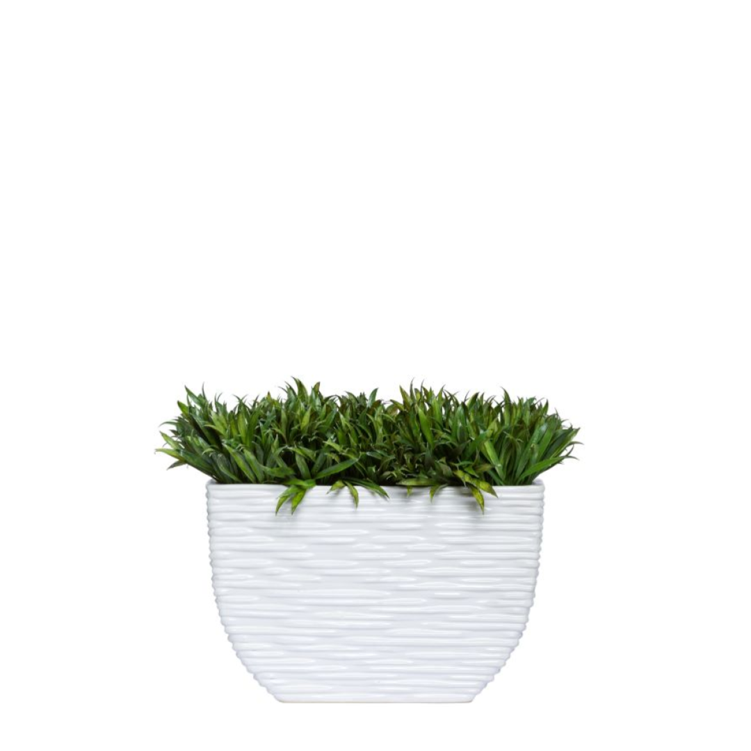 Artificial grass plant in modern white textured planter