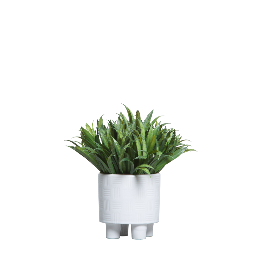 Artificial grass plant in modern white textured ceramic pot on white background