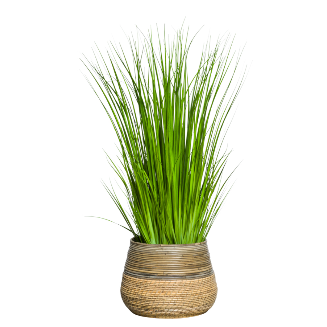 Artificial grass plant in a woven basket planter on white background