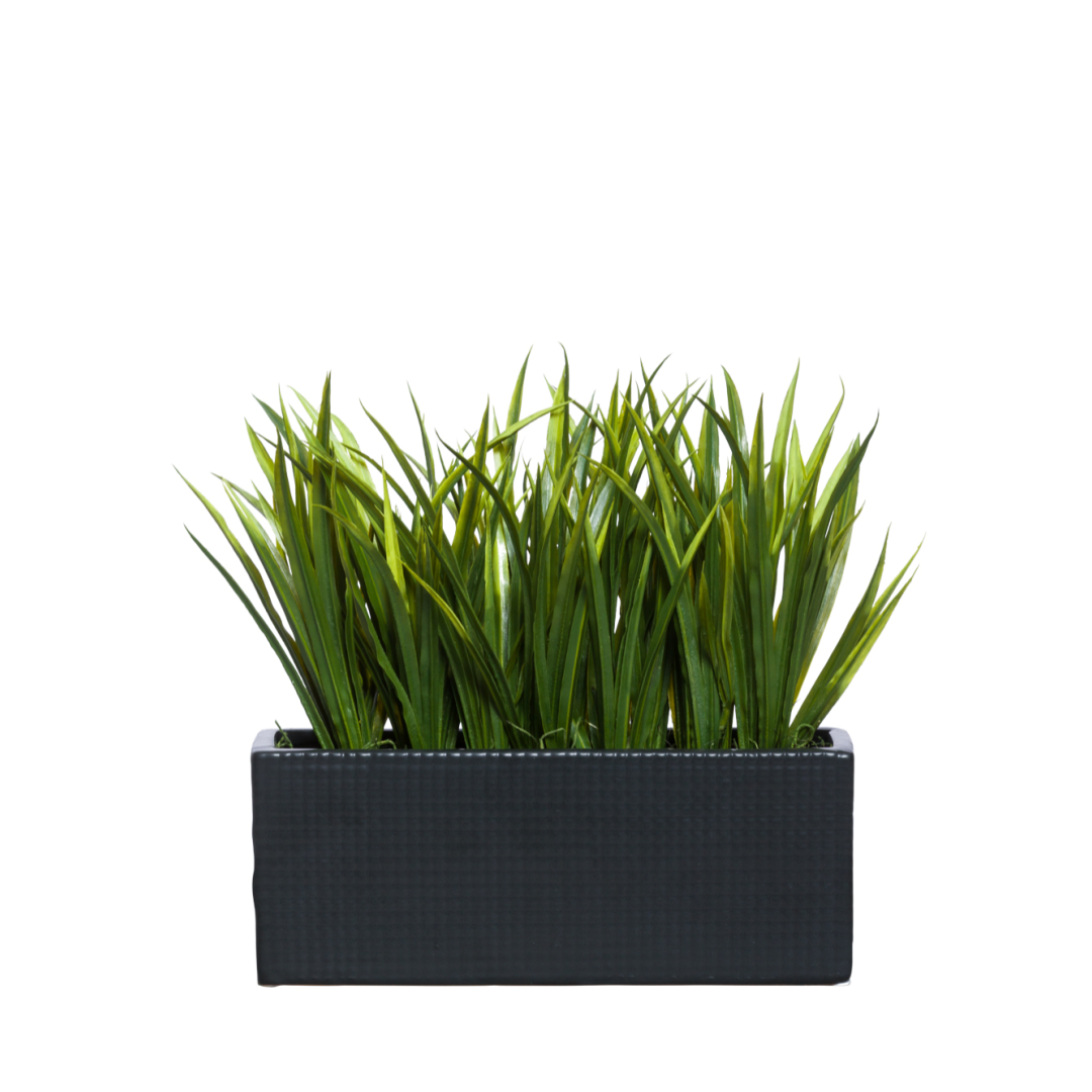 Artificial grass sword plant in black rectangular planter on white background