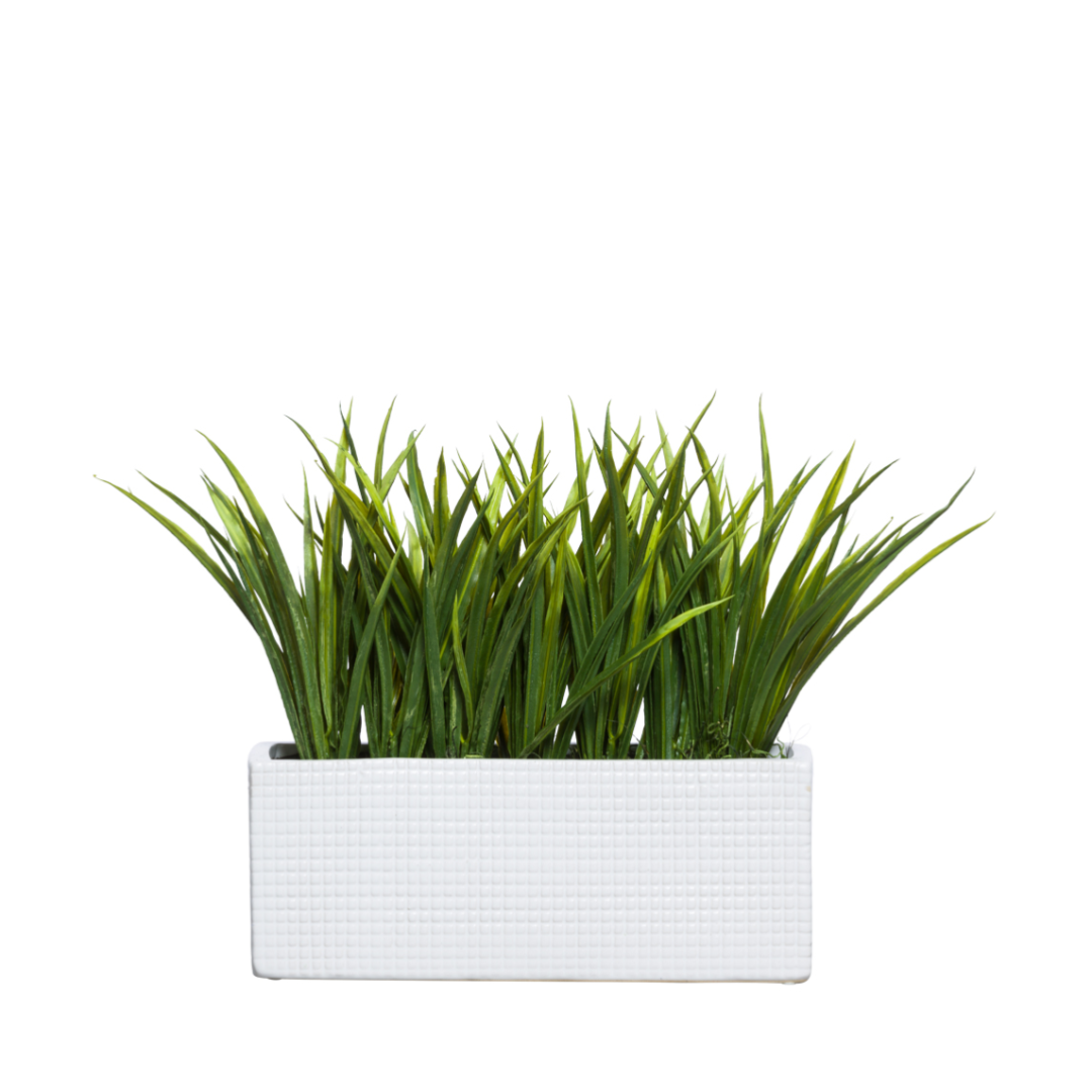 Artificial grass sword plant in textured white rectangular planter, isolated on white background