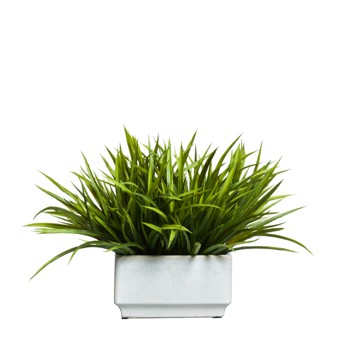 Artificial grass arrangement in a rectangular white planter on white background