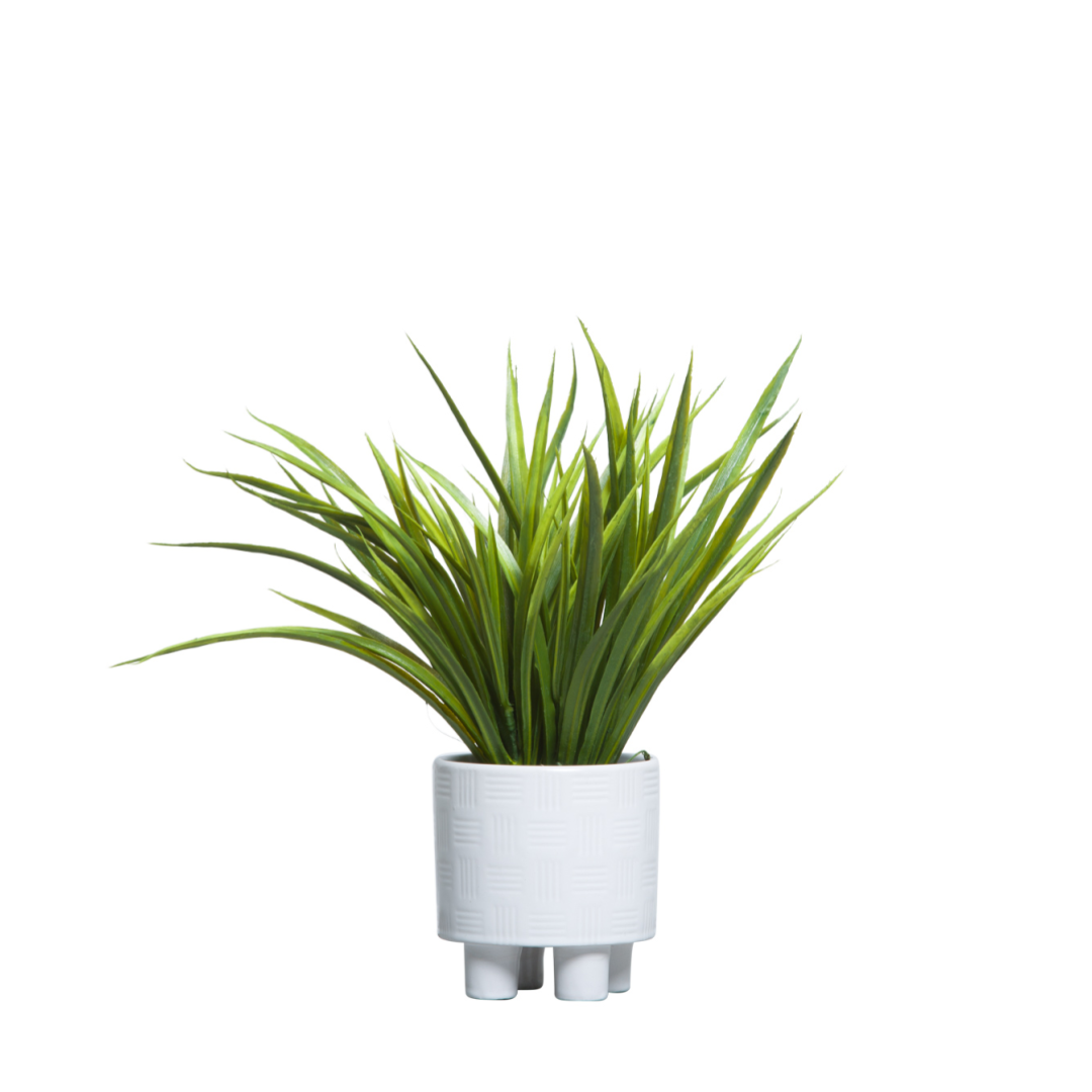 Artificial grass plant in a modern white textured pot on a white background