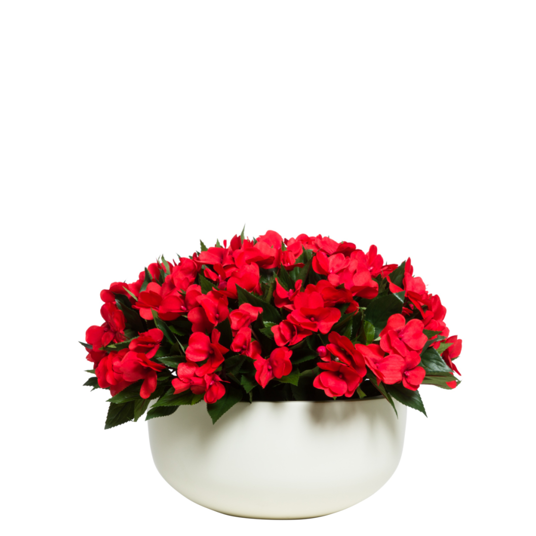 Red artificial impatiens flowers in a modern white round pot, realistic silk plant arrangement
