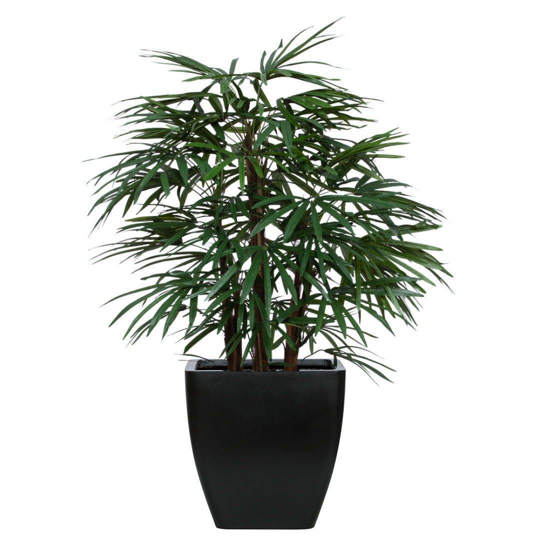 Artificial lady finger palm plant in a modern black planter against white background