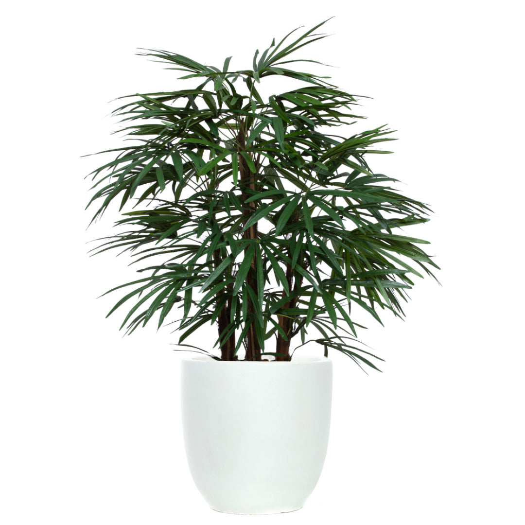 Artificial lady finger palm plant in a white pot with lush green foliage on white background