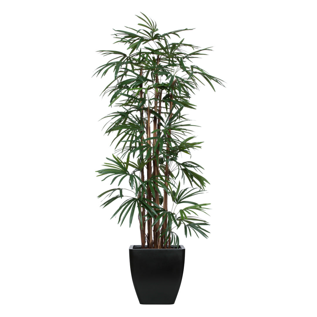 Tall artificial lady finger palm in a black square planter against a white background