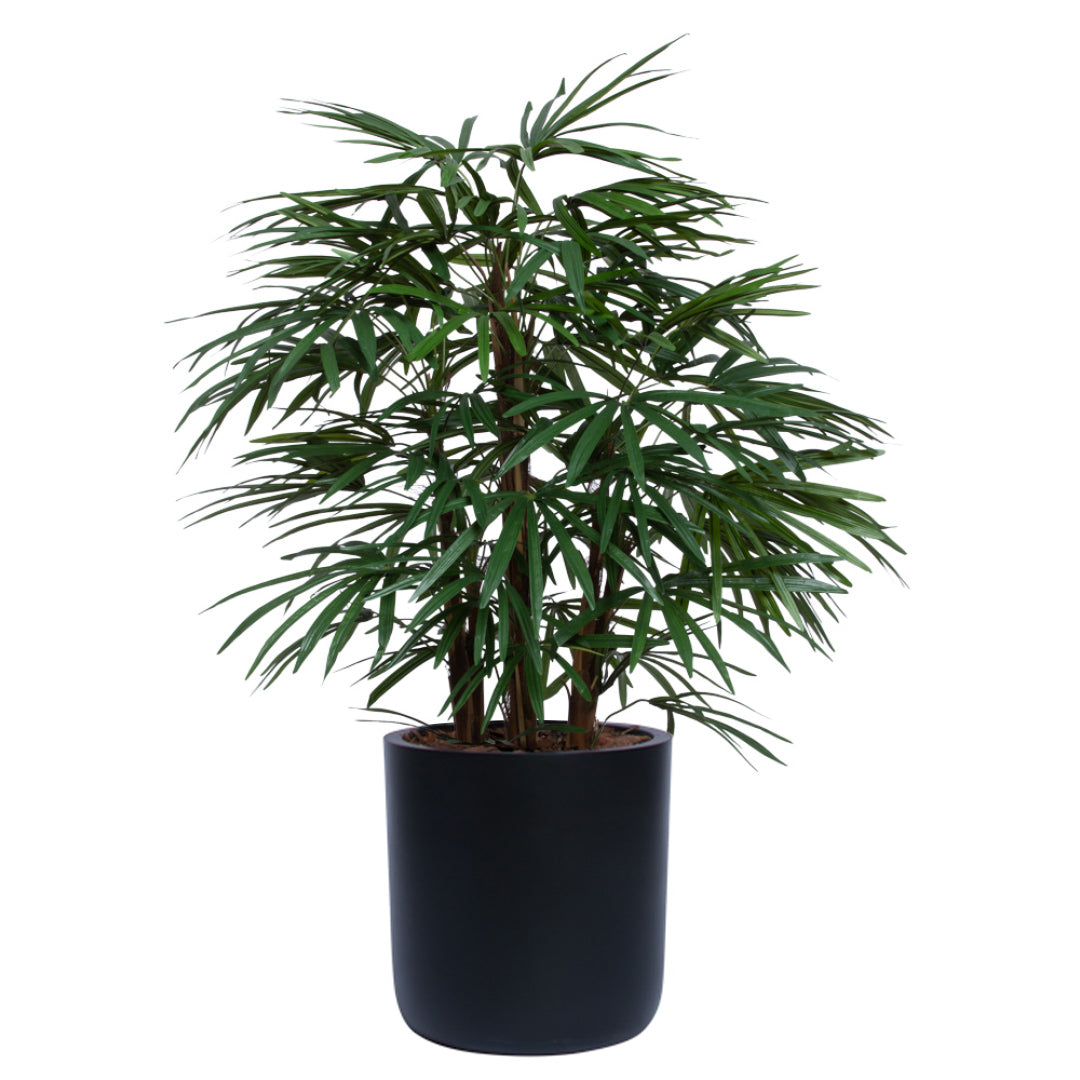 Artificial lady palm plant with green foliage in a modern black pot, isolated on white