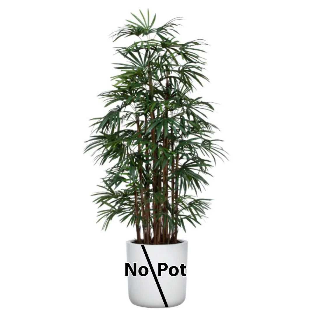 Artificial ladyfinger palm plant with green leaves, no pot included, on white background
