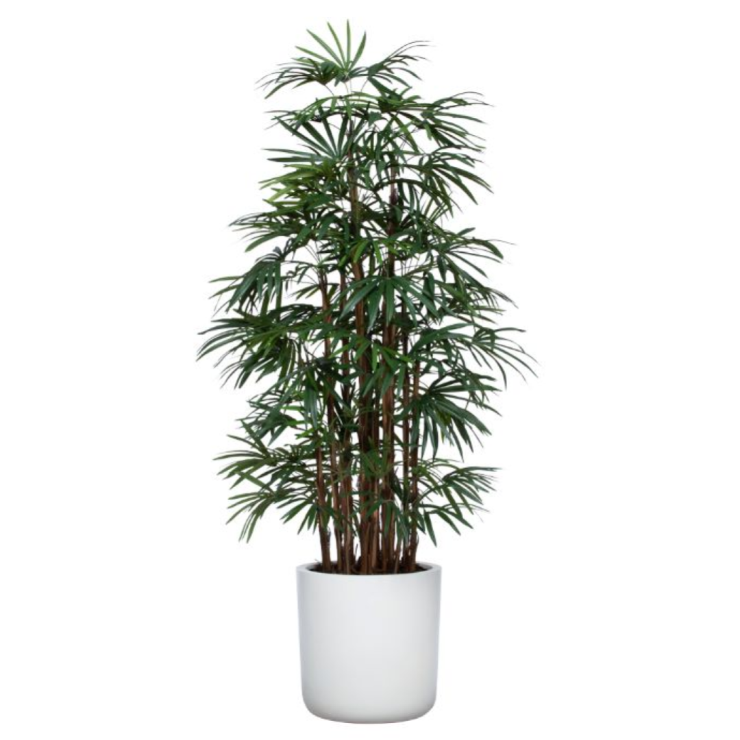 Artificial Lady Finger palm plant in a white round pot, lush green foliage