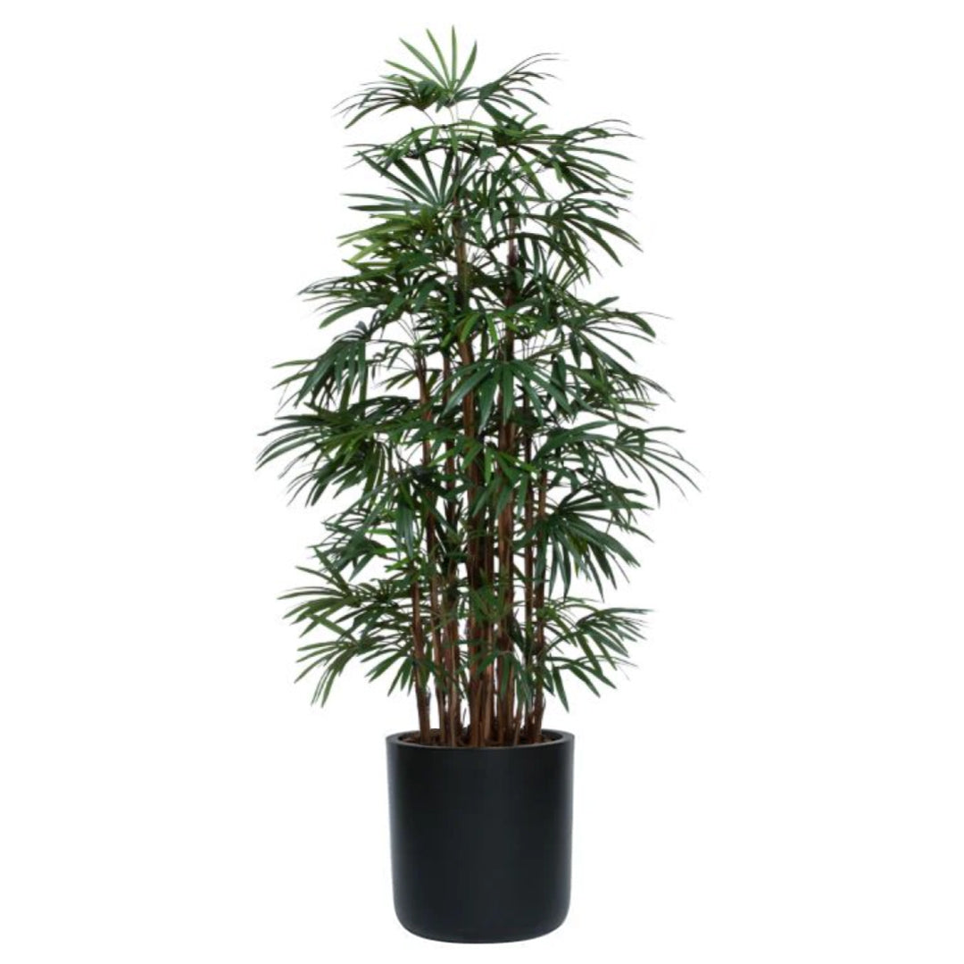 Artificial ladyfinger palm plant in black pot with realistic green leaves and slender stems