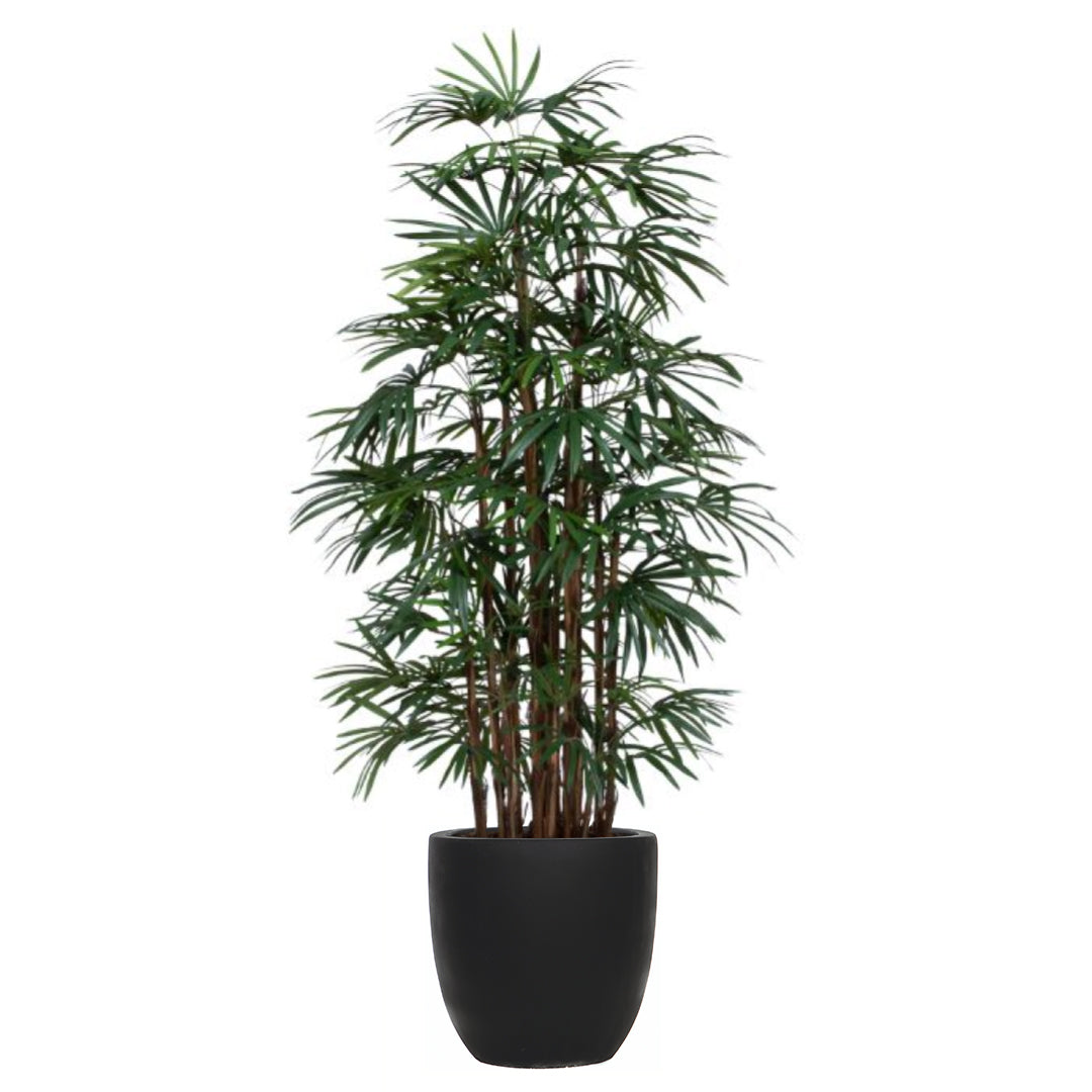 Artificial lady finger palm plant in a black deluxe short pot, realistic green foliage