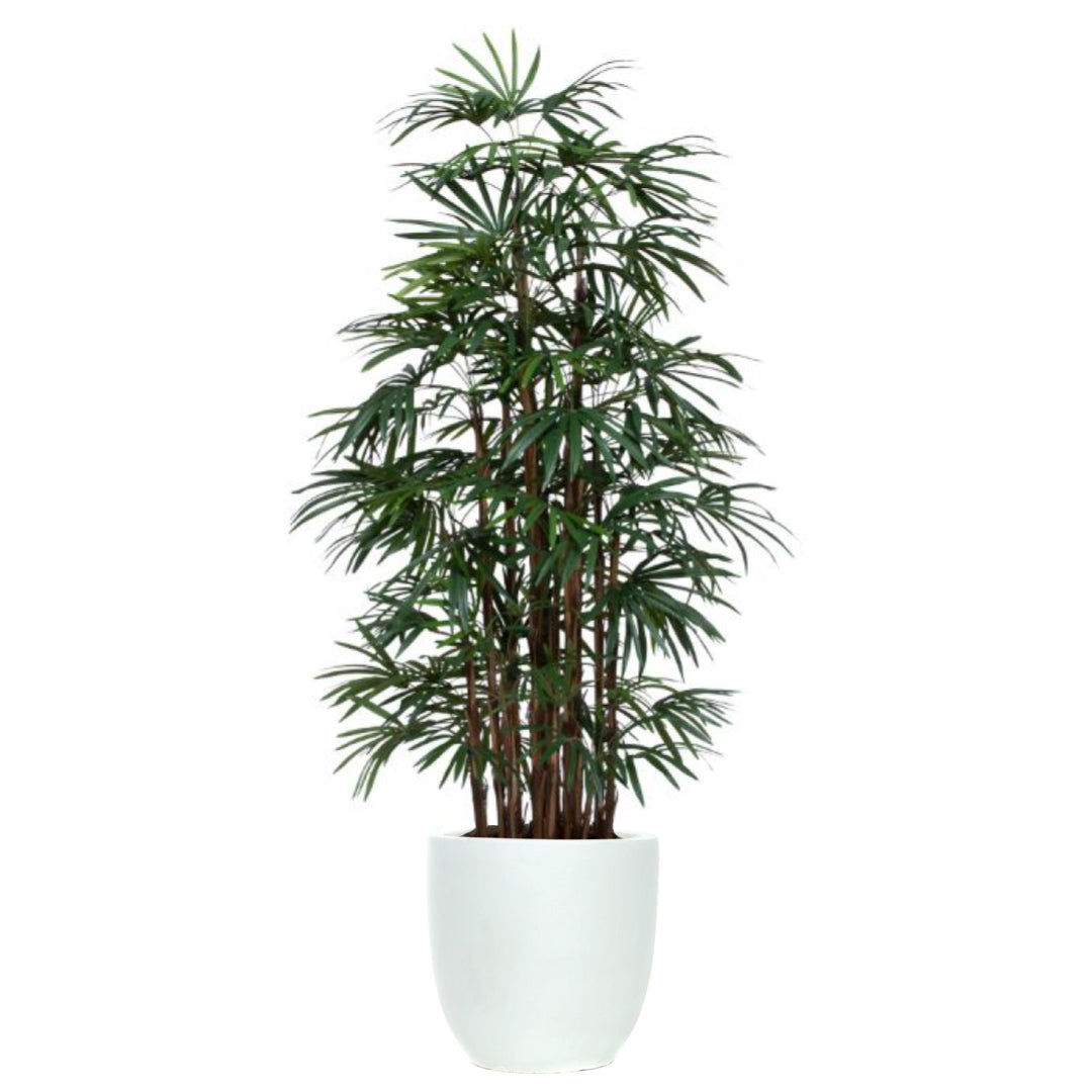 Artificial lady palm plant with slender green leaves in a modern white pot