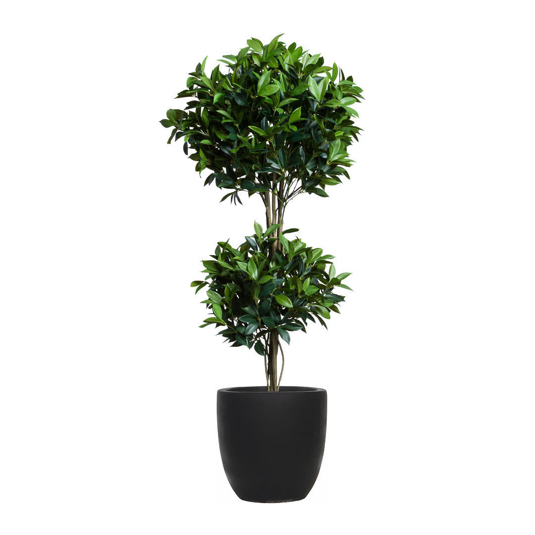 Artificial double ball laurel topiary in a black planter against white background