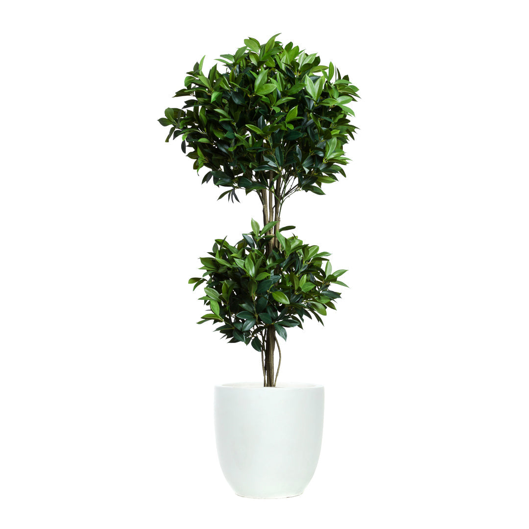 Double ball laurel topiary artificial plant in white planter, realistic greenery decor